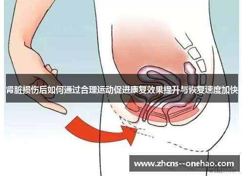 肾脏损伤后如何通过合理运动促进康复效果提升与恢复速度加快