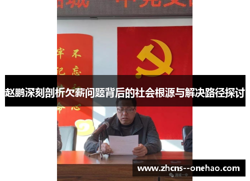 赵鹏深刻剖析欠薪问题背后的社会根源与解决路径探讨